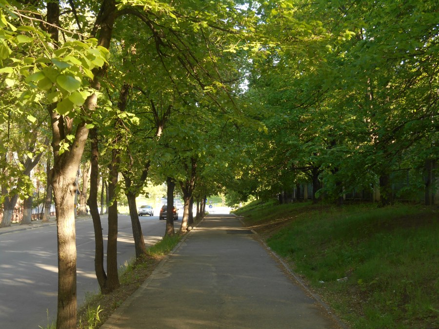 DSCN2592