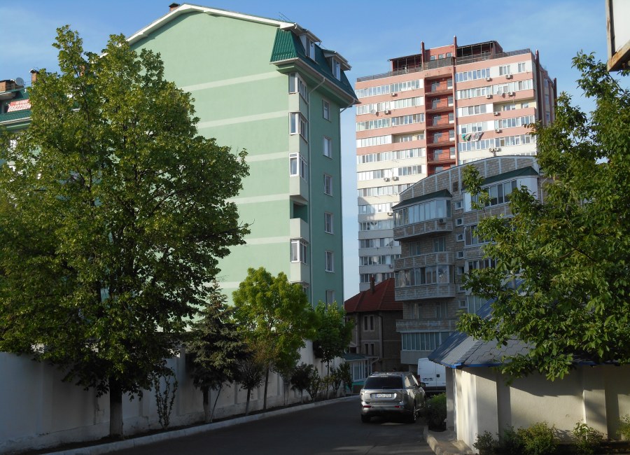 Ботаника